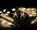 Starfish Earrings