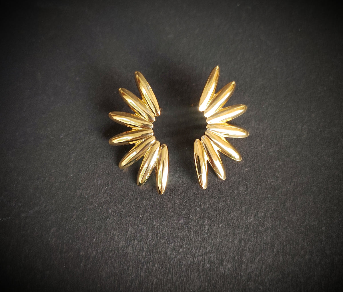 Spikes Earrings